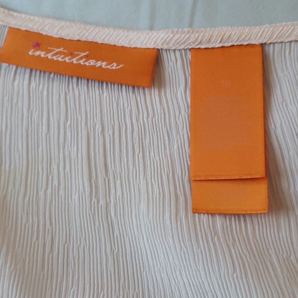 Pink Silk Shift - Picture 3 of 8